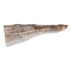 Filet de cabillaud (queue) avec peau