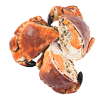 Demi-crabe 150-250 gr, Rungis