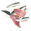 Filet de sardine 50-100g, Rungis