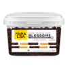 Blossem Chocolat Pur