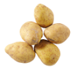 Pommes de terre grosses