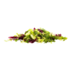 Salade Frudimix