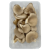 Champignons pleurotes