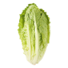 Salade laitue romaine