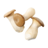 Champignon Eryngii