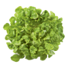 Sla eikeblad groen