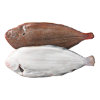 Noordzee tong 500-600 gr