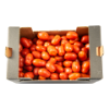 Mini pruimtomaten